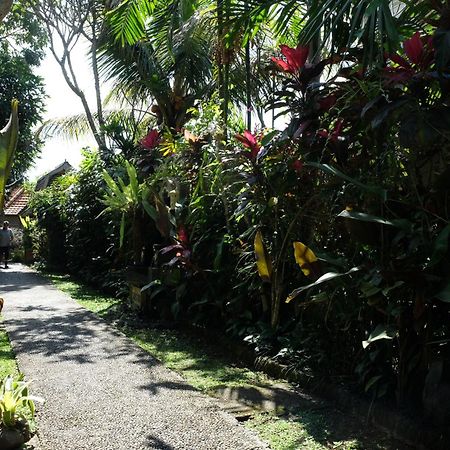 Suastika Guest House Ubud Exteriér fotografie