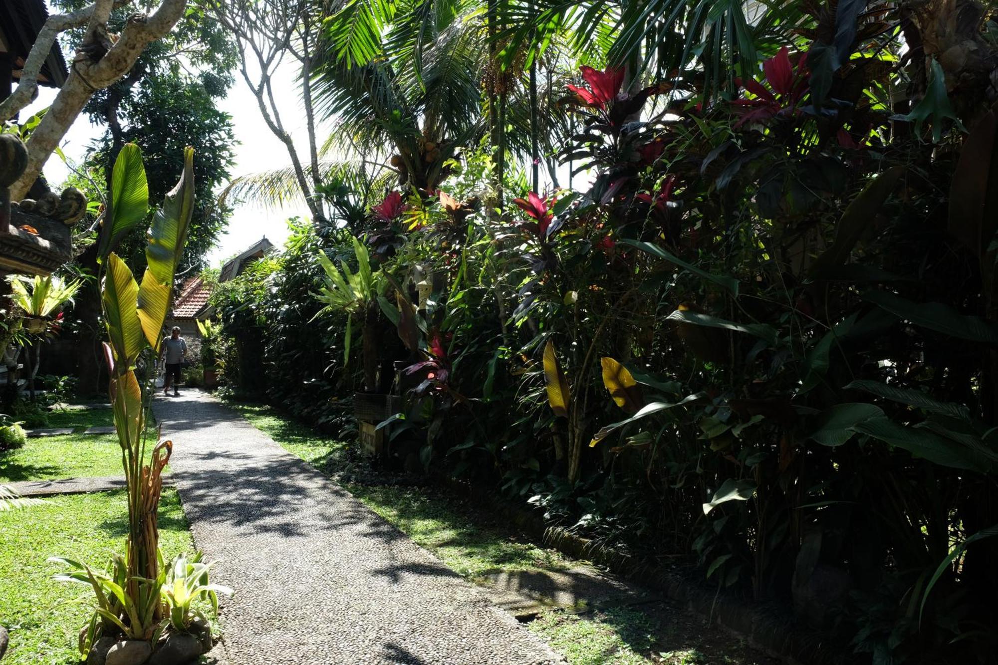 Suastika Guest House Ubud Exteriér fotografie