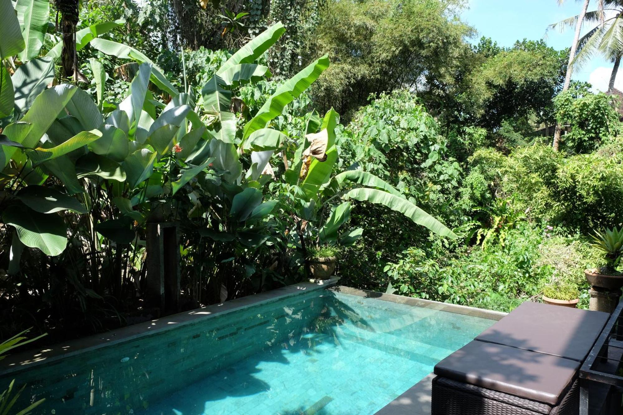 Suastika Guest House Ubud Exteriér fotografie