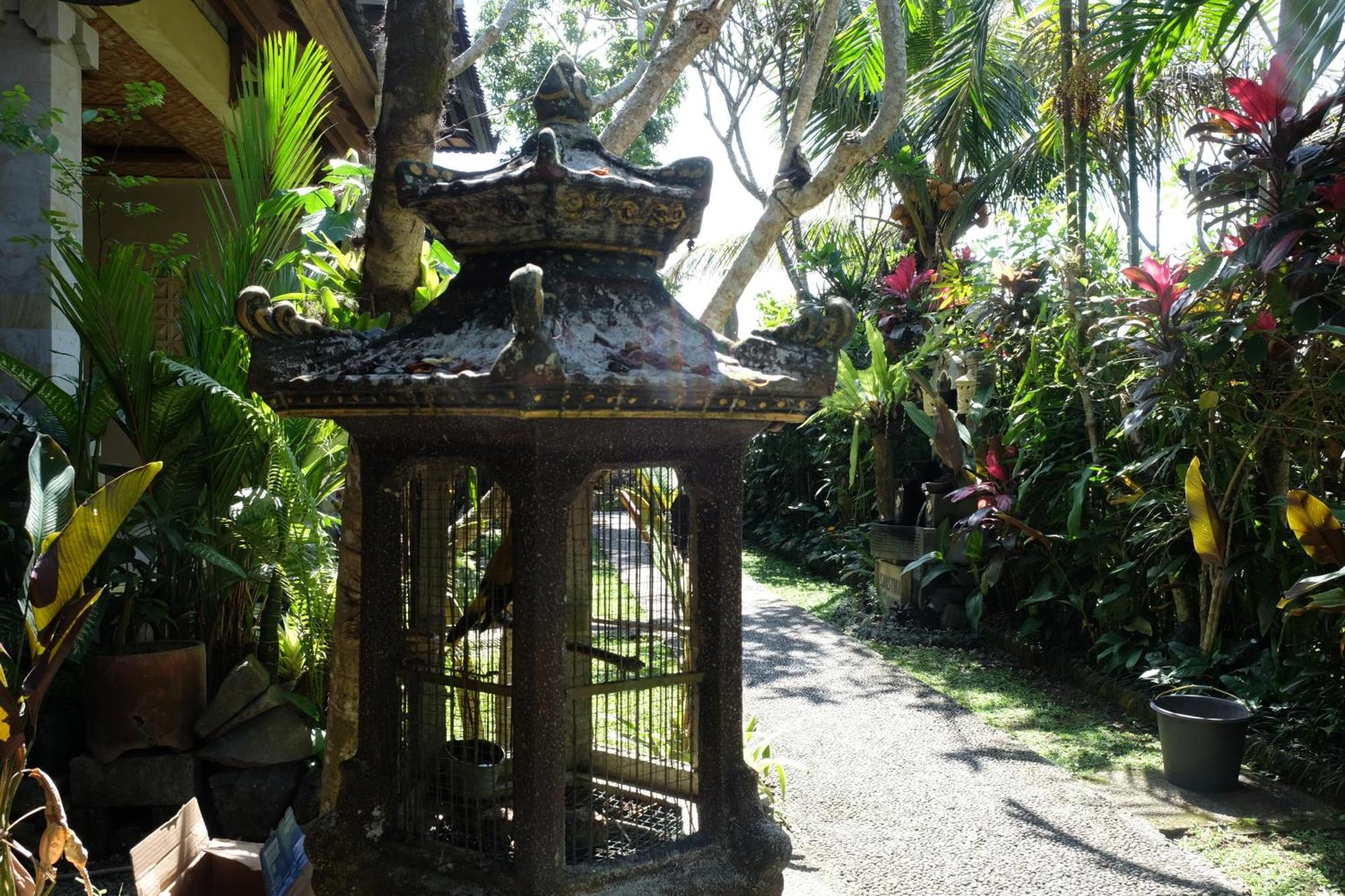 Suastika Guest House Ubud Exteriér fotografie